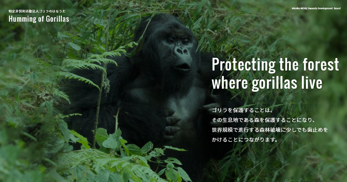 特定非営利活動法人ゴリラのはなうた Humming Of Gorillas